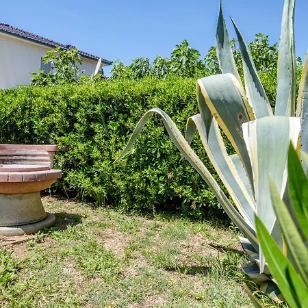 Kordic בית הארחה Barbat na Rabu