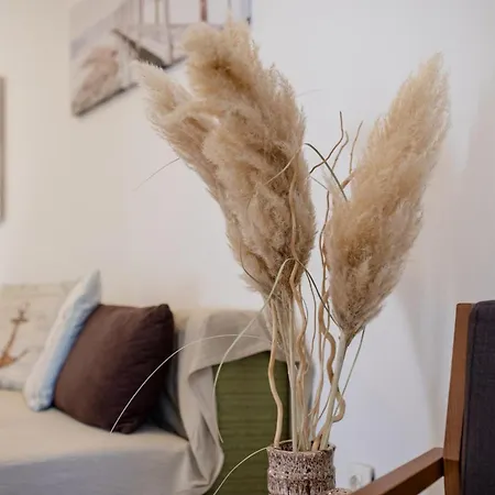 Guest house Kordic 3*
